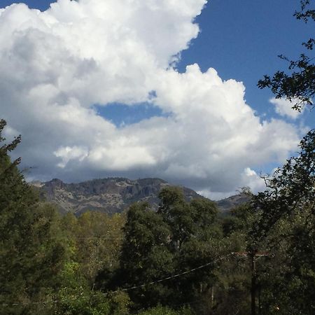 Foothill House Bed & Breakfast คาลิสโทกา ภายนอก รูปภาพ